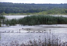 Топ-3 украинских заповедника, которые нужно посетить