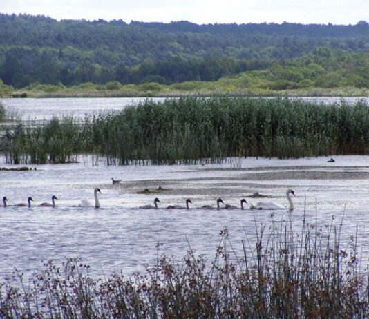 Топ-3 украинских заповедника, которые нужно посетить