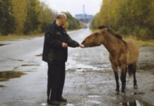 У Чорнобильській зоні виявлено багато рідкісних представників дикої природи