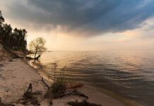 Київське водосховище: які зміни відбулись від початку створення