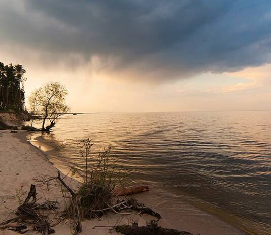 Київське водосховище: які зміни відбулись від початку створення