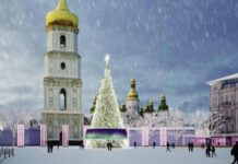 Новый год в столице может быть без живой елки