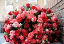 Киян просять не дарувати мертві квіти