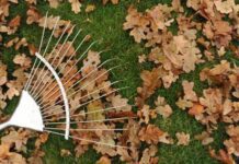 В Киеве начнут штрафовать тех, кто палит листья