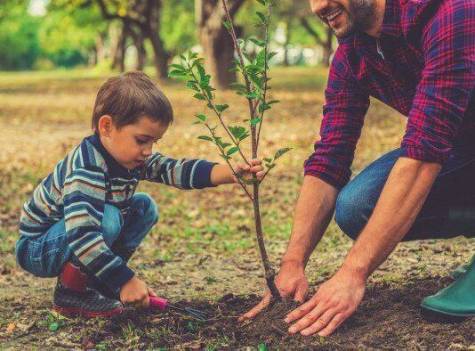 Интерактивная карта зеленых зон Киева: как помочь высадить деревья