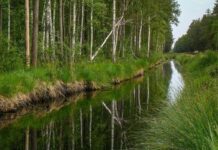 В Києві створять 6 заповідників