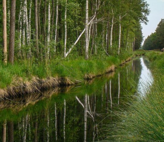 В Киеве создадут 6 заповедников
