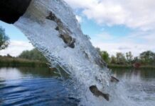 Водойми Київщини стануть крутим рибним місцем