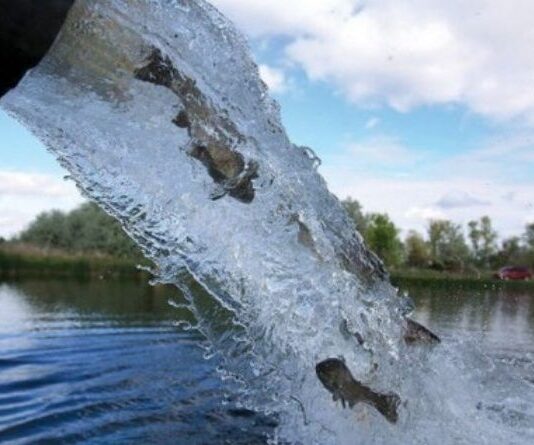 Водойми Київщини стануть крутим рибним місцем