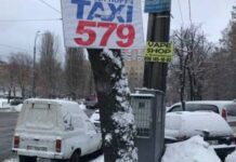 У Києві проходить безстрокова акція: прибери рекламу з дерева