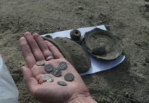 В Киеве при высадке деревьев нашли клад