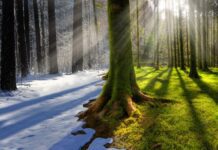 По страницам экологии как менялся климат Киева в течение 100 лет