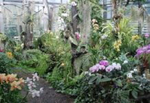 Национальный ботанический сад им. Гришко