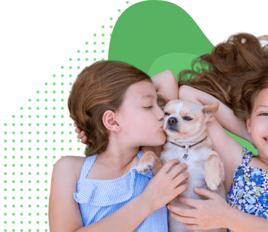 Кияни можуть отримати QR-паспорт для своїх улюбленців та все про соціальний проект Animal ID