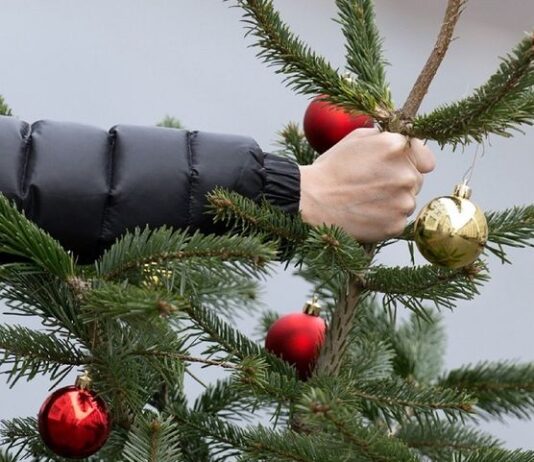 Новогоднюю елку не выбрасывай, на утилизацию сдай!