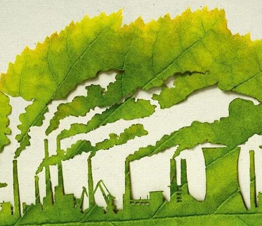 Что нужно сделать столицу, чтобы стать самым чистым городом Украины?