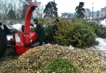 Где будут открыты пункты для утилизации елок?
