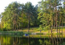 Интерактивная экотропа в Голосеево