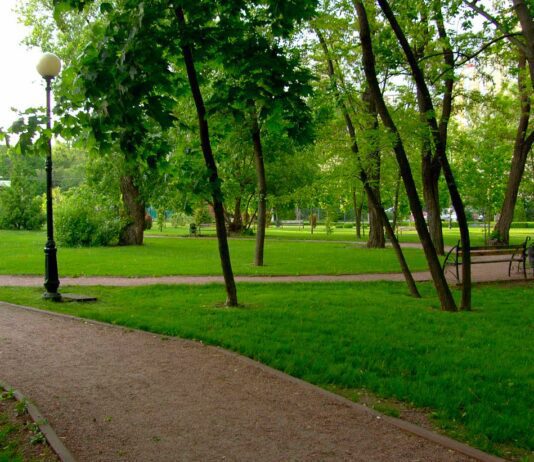 Пішохідні доріжки в парку «Сирецький гай»