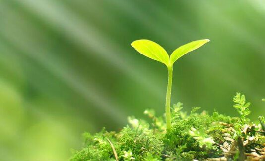 Для чого створена екологічна платформа "ECO Platform"