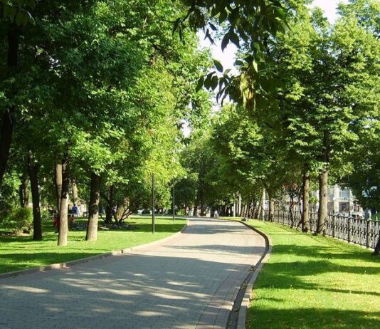 У столиці на Печерську з’являться тематичні сквери