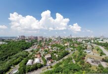 Дезенізація в Києві