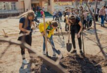 Вместо цветов учителям подарили деревья