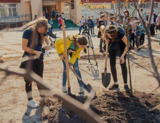 Замість квітів вчителям подарували дерева