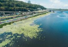 Небезпека цвітіння Дніпра в Києві