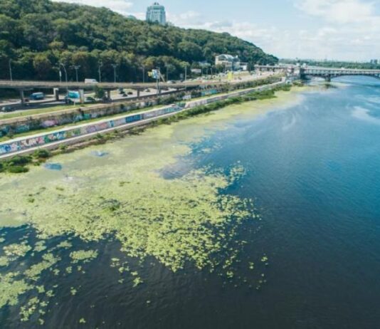 Небезпека цвітіння Дніпра в Києві