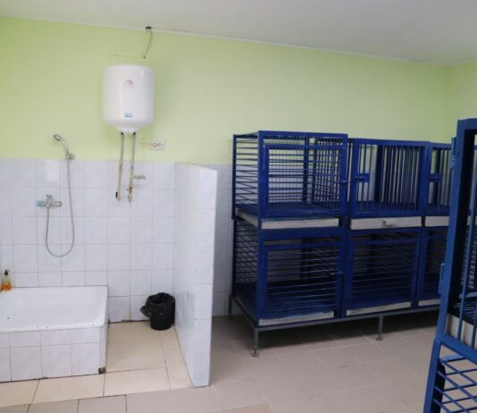 Инфекционное отделение для животных заработало на Подоле