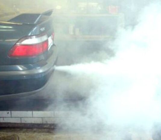 Экологи предупреждают! Жизнь в Киеве небезопасна