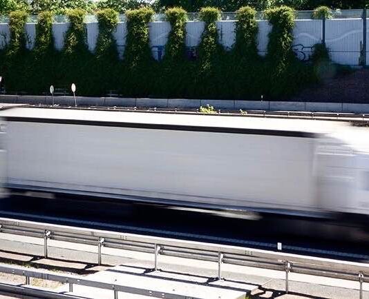 Экологический коридор в Киеве: создадут шумозащитные насаждения