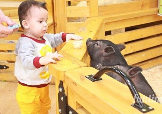 Малоизвестные контактные зоопарки в Киеве