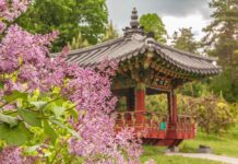 Національний ботанічний сад ім. М.М. Гришка. Притулок для неймовірних рослин