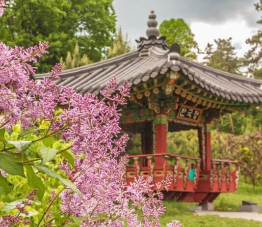 Национальный ботанический сад им. Н.Н. Гришка. Убежище для невероятных растений