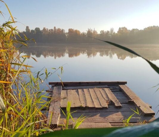 ТОП-7 озер Киева, на которых можно отлично отдохнуть