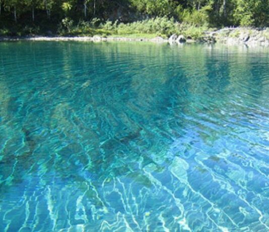 ТОП-9 замечательных мест для отдыха под Киевом: куда поехать