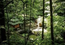 ТОП- 6 незвичайних туристичних місць у Києві