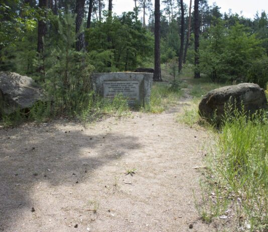 Памятник в лесу. Неожиданная находка в Дарницком лесу, напоминает о страшных событиях, происходивших в этой местности