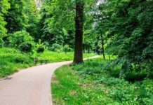 Парк Кинь Грусть — обрети радость