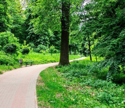 Парк Кинь Грусть — обрети радость