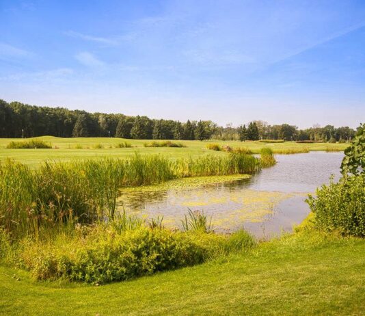 Как отдыхали жители столицы 100 лет назад: интересные факты