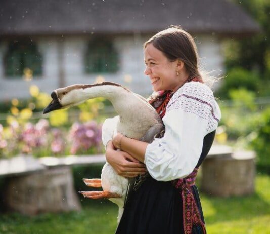 Музеи под открытым небом возле Киева: ТОП- 5 интересных мест