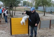 Столичний парк для собак: де можна чудово відпочити зі своїм вихованцем