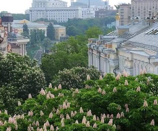 Звідки в Києві каштани?