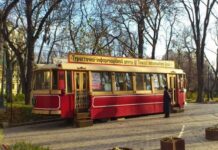 Острів затишку, де випасали домашню худобу: історія парку Шевченка