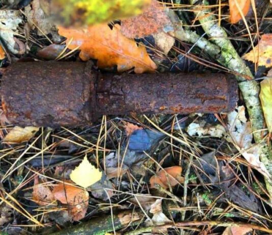 У Київській області грибники знайшли в лісі гранату граната