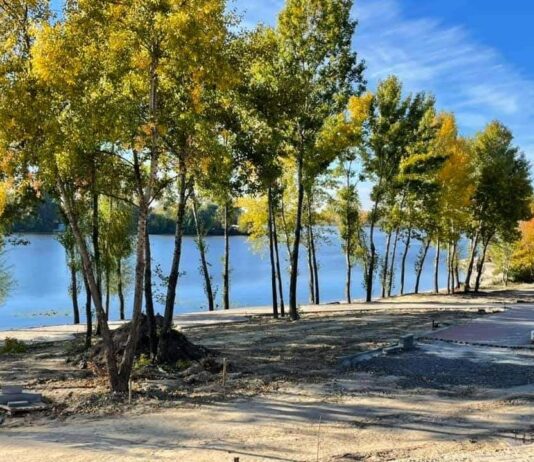 На Дарнице появится новый парк