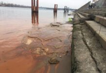 Столица занимает первое место в стране по загрязнению Днепра: кто виноват